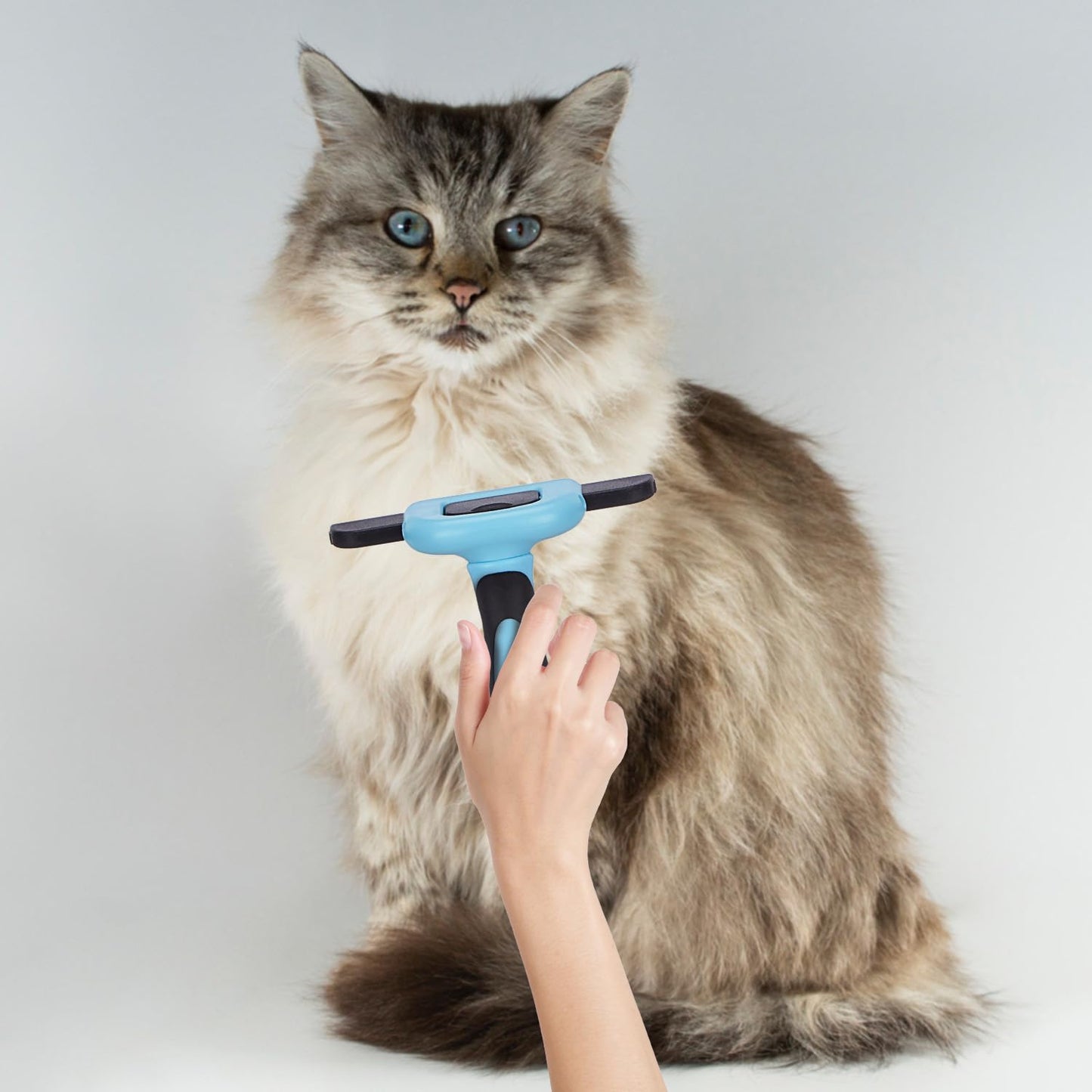 Amazon Basics Self Cleaning Slicker Pet Grooming Brush | Pet Cleaning Tool Suitable for All Pets | Rectangular Shape